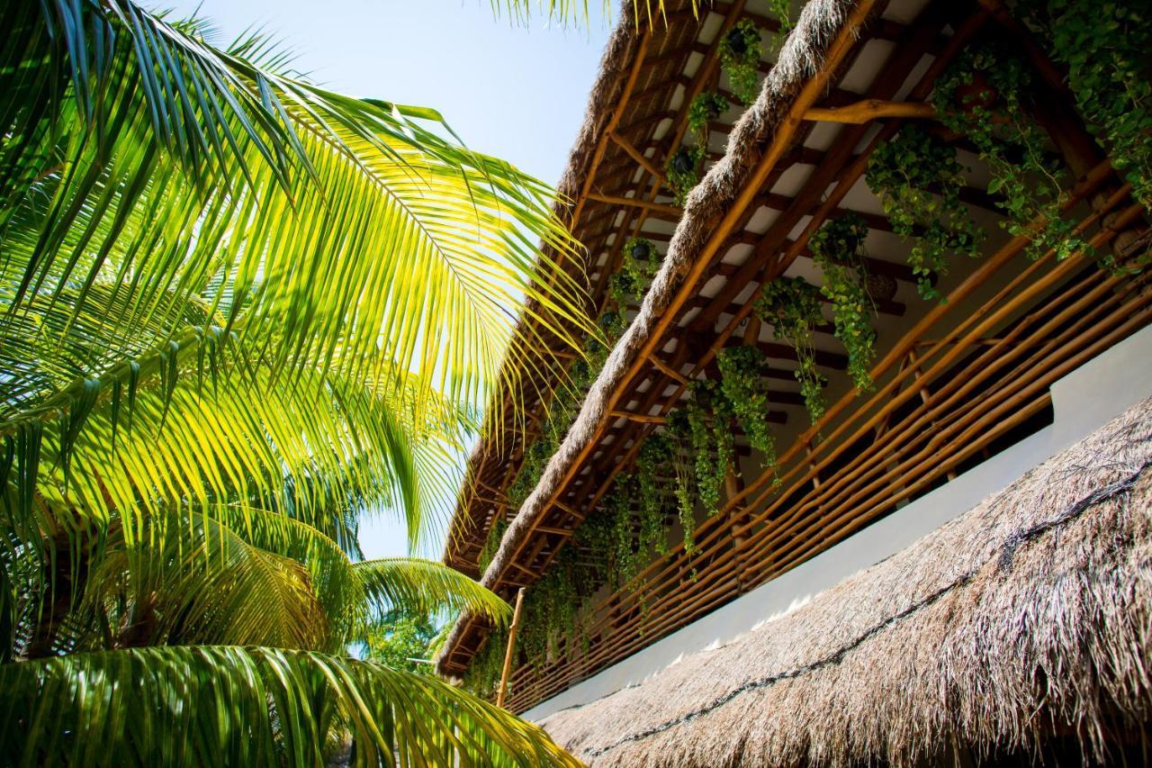 Tropical Suites By Mij Isla Holbox Exteriér fotografie